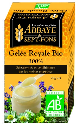 Laptisor matca bio 25g - ABBAYE