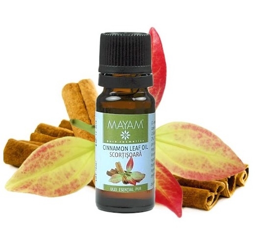 Ulei esential scortisoara frunze 10ml - MAYAM