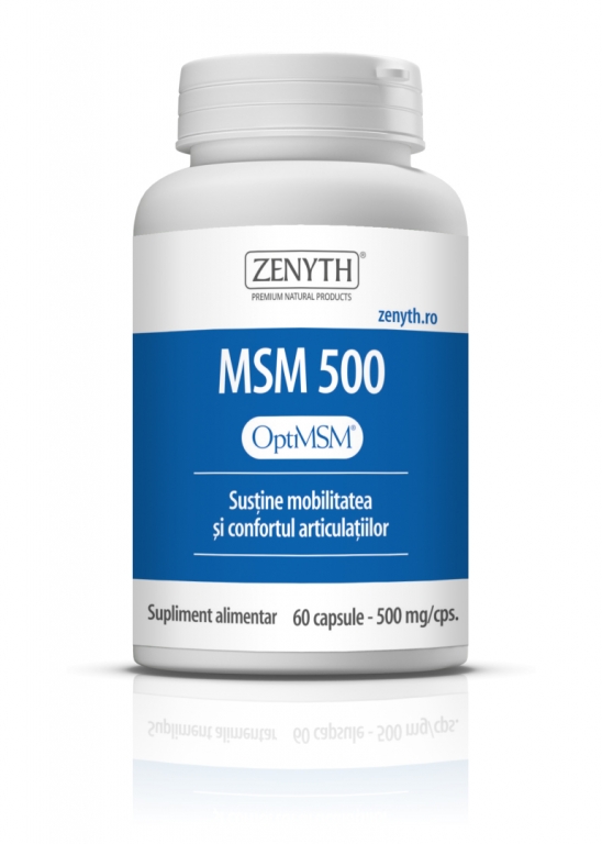 MSM 500mg 60cps - ZENYTH