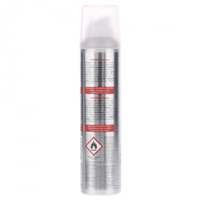 Spray par fixare puternica aerosol 250ml - RAUSCH
