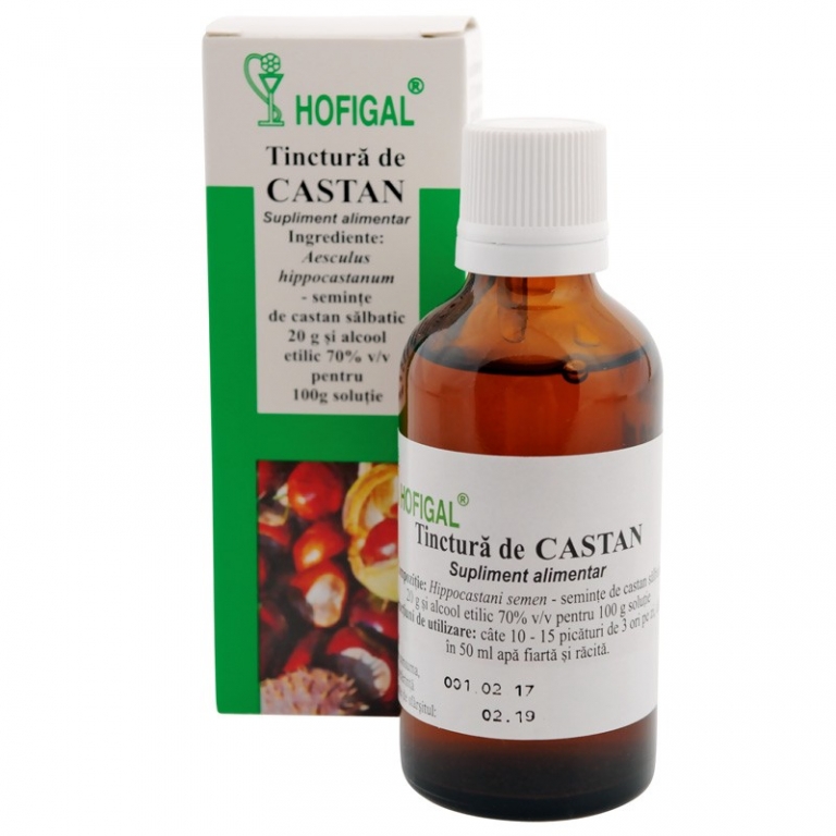 Tinctura castan 50ml - HOFIGAL