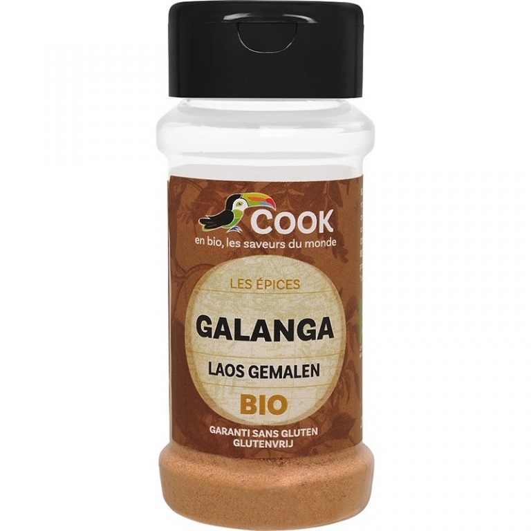 Condiment galangal macinat bio 25g - COOK