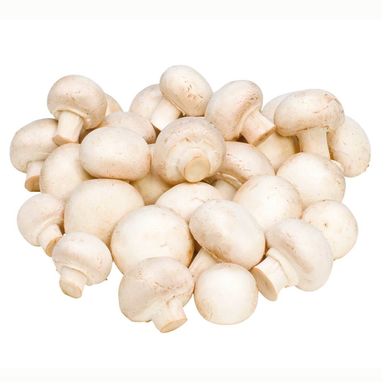 Ciuperci Champignon proaspete