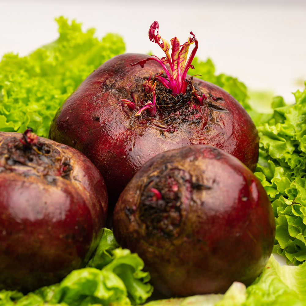 Sfeclă roșie, ingredientul principal al rondelelor marinate