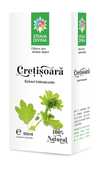 Tinctura cretisoara 50ml - SANTO RAPHAEL