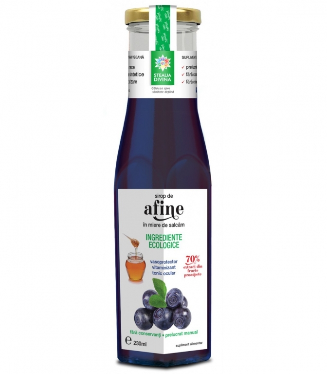 Sirop afine in miere 230ml - SANTO RAPHAEL