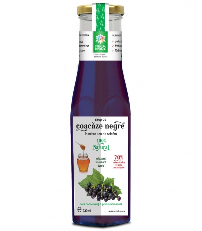 Sirop coacaze negre in miere 230ml - SANTO RAPHAEL