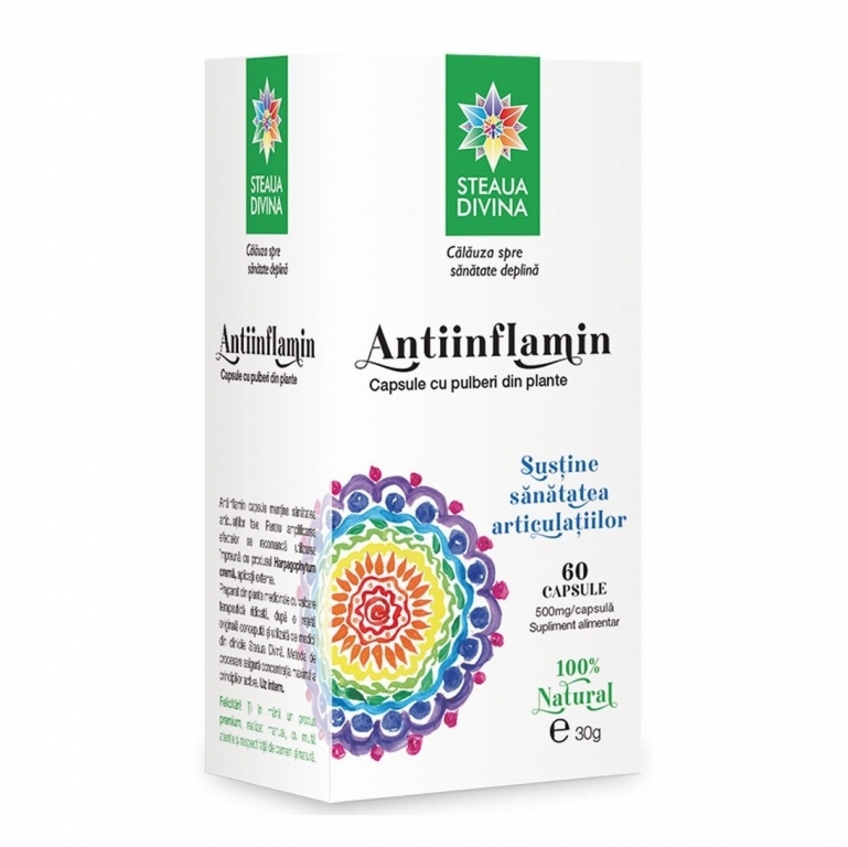AntiInflamin 60cps - SANTO RAPHAEL