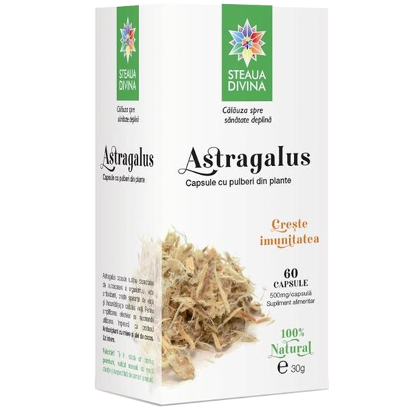 Astragalus 500mg 60cps - SANTO RAPHAEL