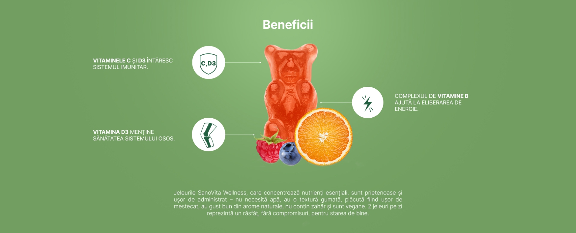 Jeleuri Echilibru Zilnic multivitamine adulti fara zahar Wellness 60b - SANOVITA