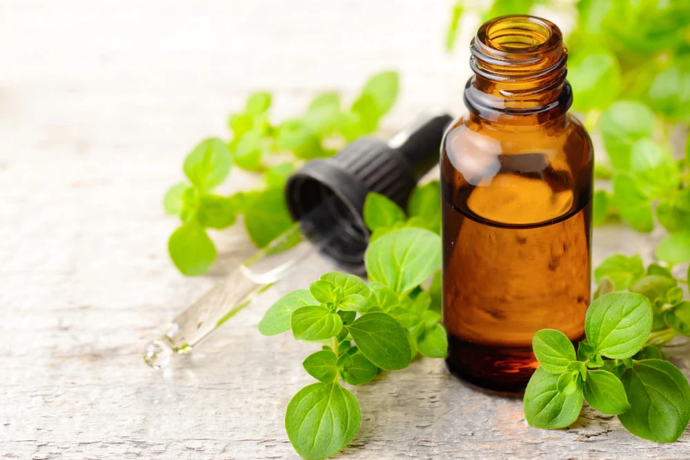 Ulei oregano salbatic mediteranean Forte 80% Carvacrol 30ml - PROVITA NUTRITION