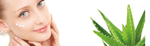 Îngrijire cosmetică și aloe vera – imagine de prezentare Cosmonatura